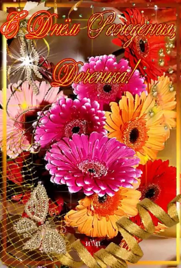 цветок гербер