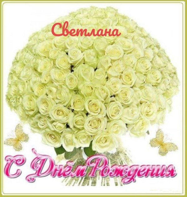 роза аваланж