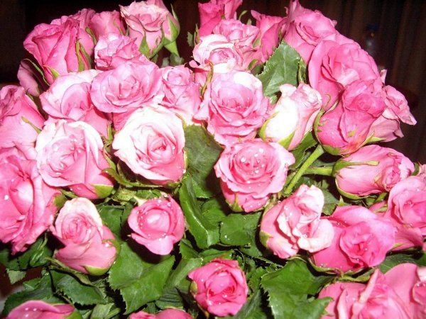 букет розовые розы