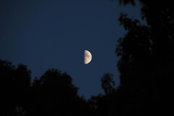 Луна растущая