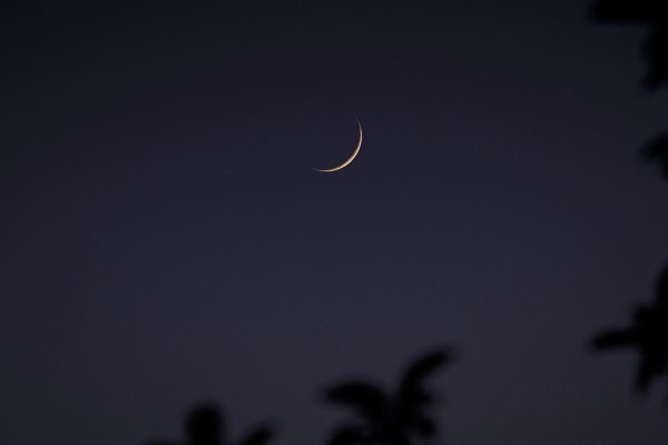 Луна растущая