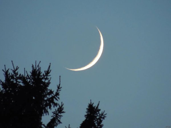 Луна растущая