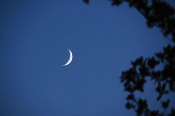 Луна растущая