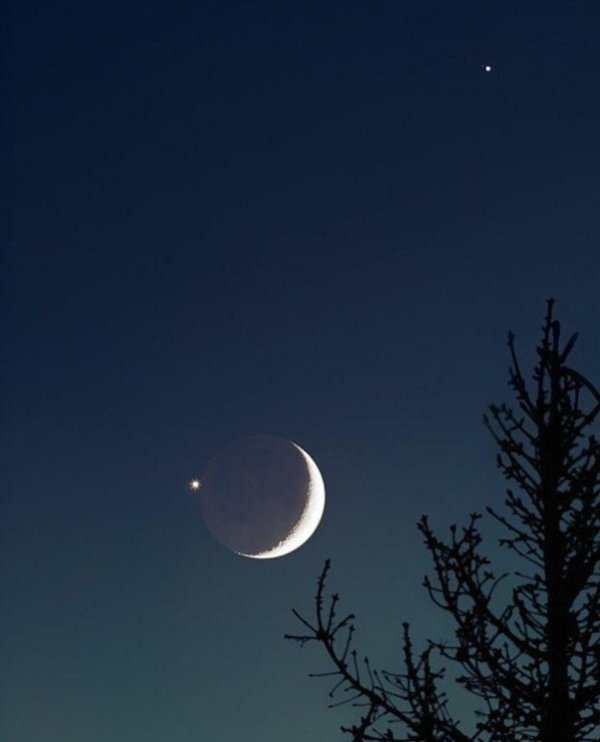 Луна растущая
