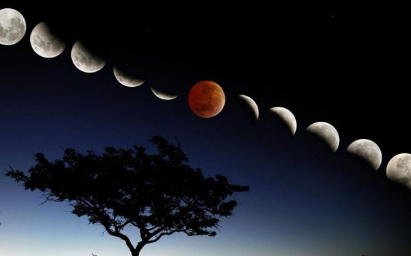 Луна растущая