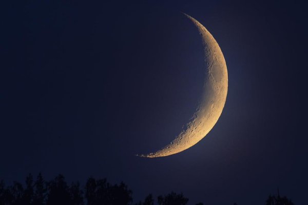 Луна растущая