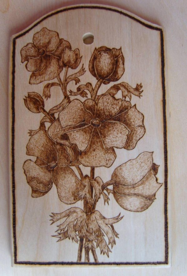 Выжигание по дереву