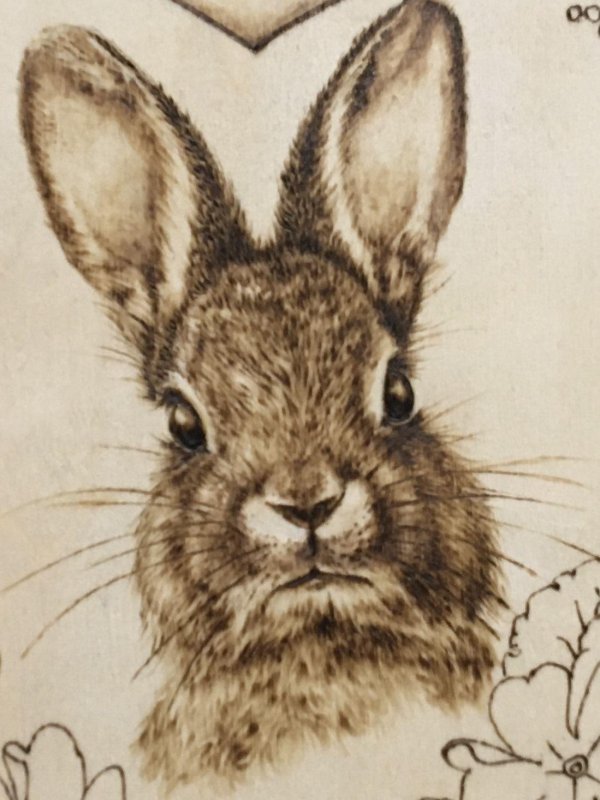 Выжигание по дереву