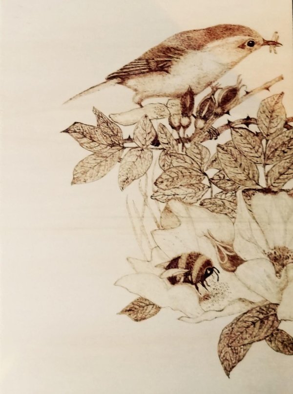 Выжигание по дереву