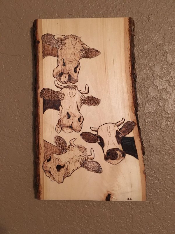 Выжигание по дереву