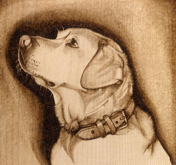 Выжигание по дереву