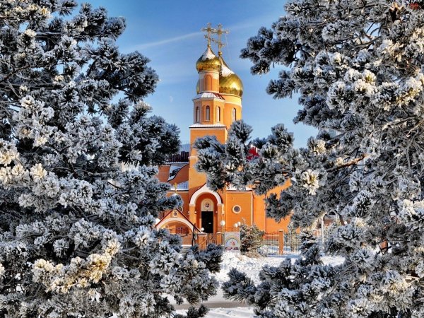 С рождественским сочельником