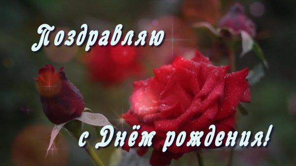 поздравления с днём рождения рая