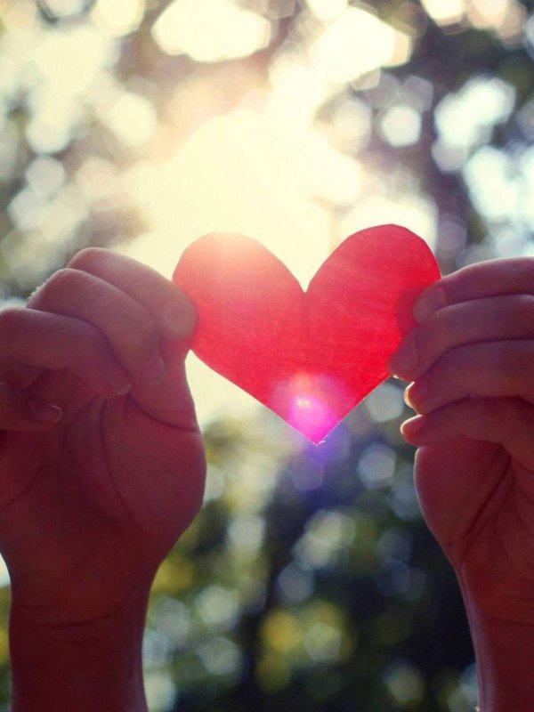 Сердце на ладони