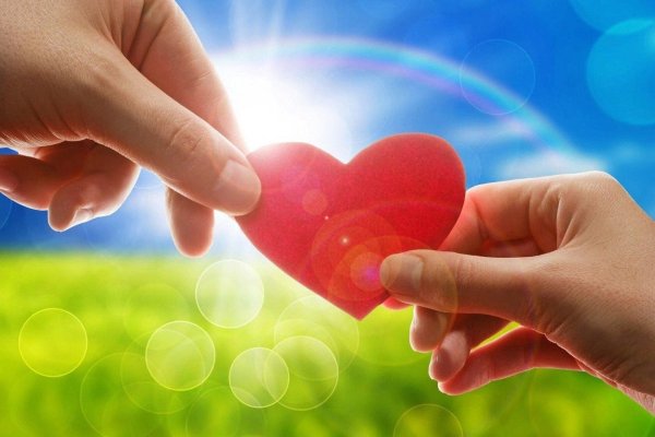 Сердце на ладони