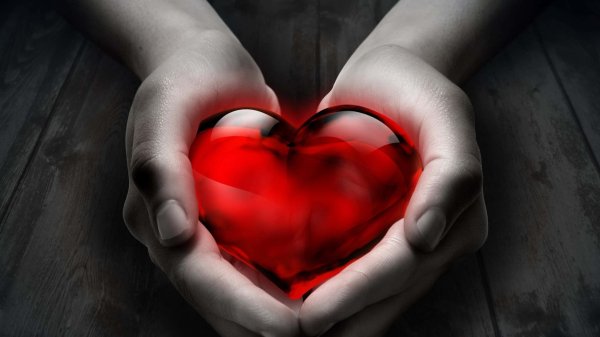 Сердце на ладони