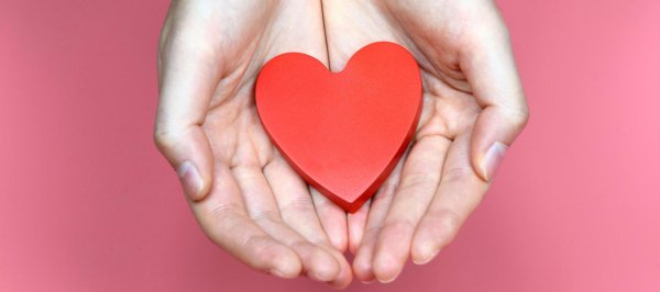 Сердце на ладони