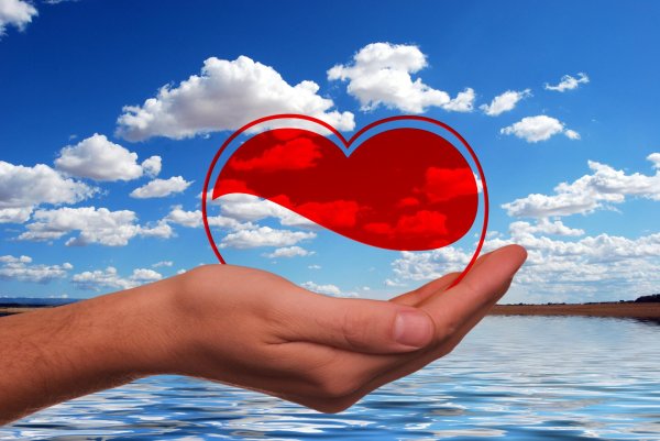 Сердце на ладони