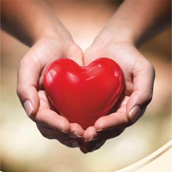 Сердце на ладони