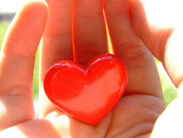 Сердце на ладони