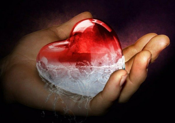 Сердце на ладони