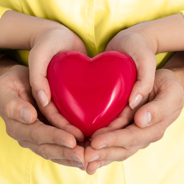 Сердце на ладони