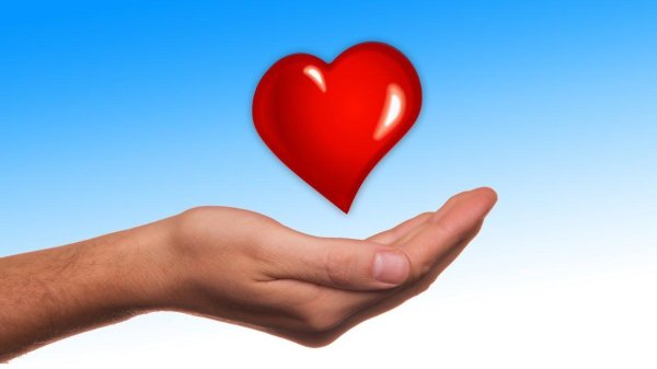 Сердце на ладони