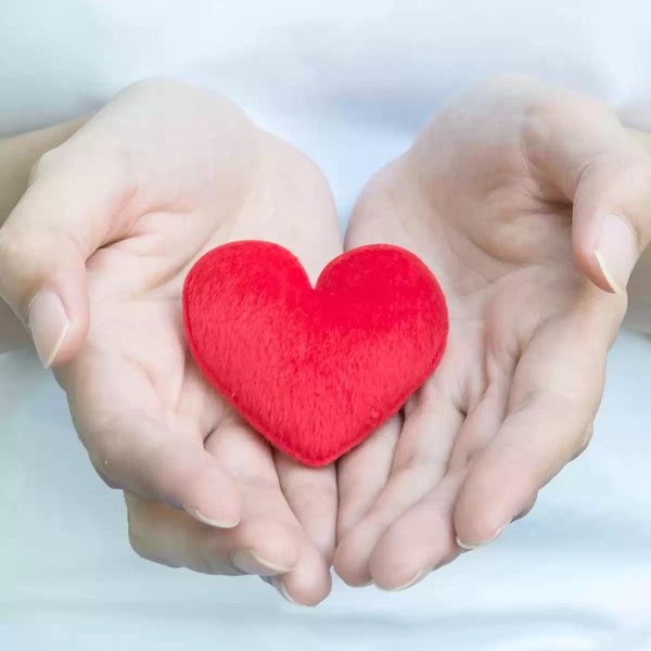 Сердце на ладони