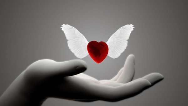 Сердце на ладони