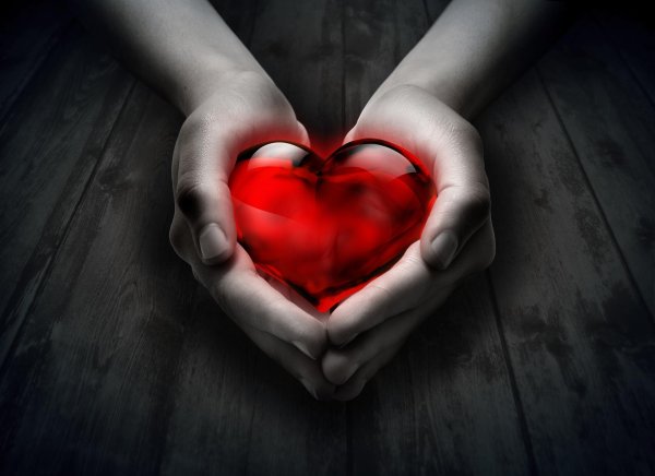 Сердце на ладони