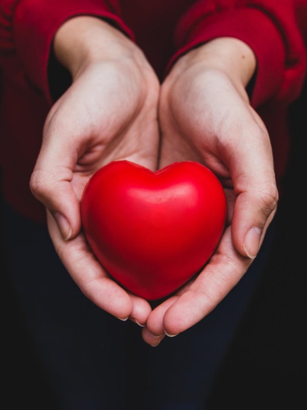 Сердце на ладони