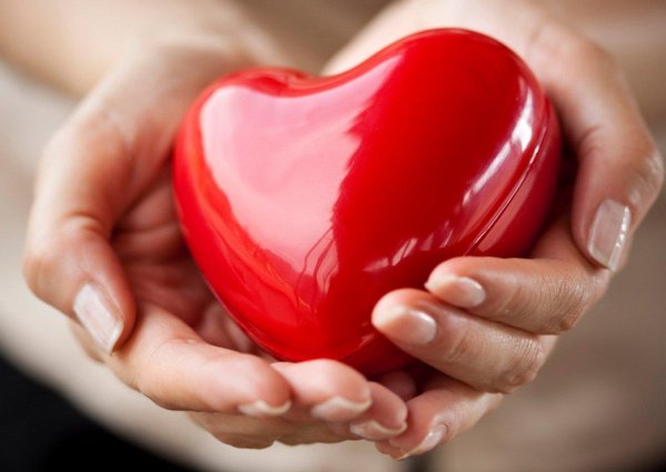 Сердце на ладони