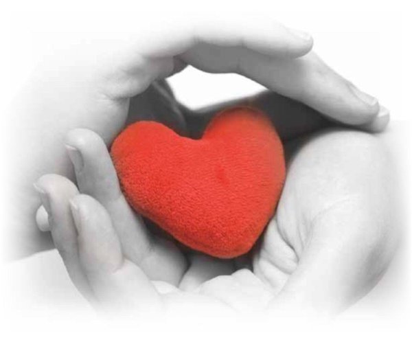 Сердце на ладони