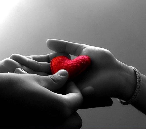 Сердце на ладони