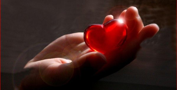 Сердце на ладони