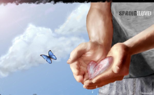 Сердце на ладони