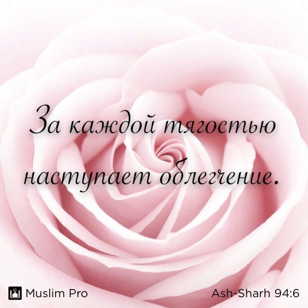 Храни вас аллах