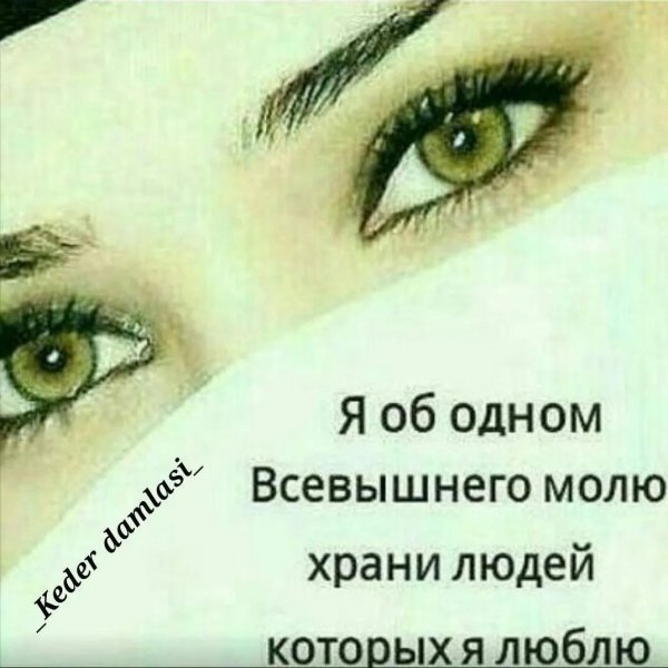 Храни вас аллах