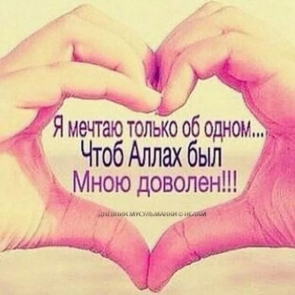 Храни вас аллах