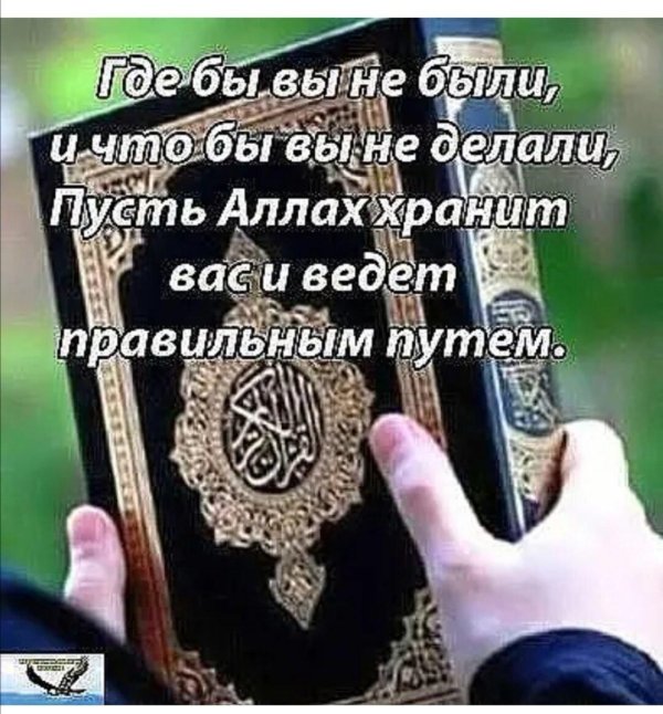 Храни вас аллах