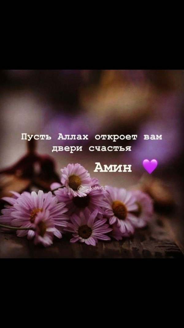 Храни вас аллах