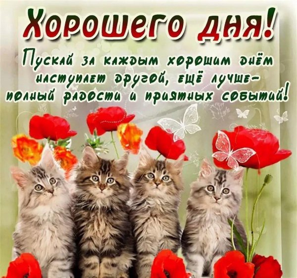 хорошего настроения открытка