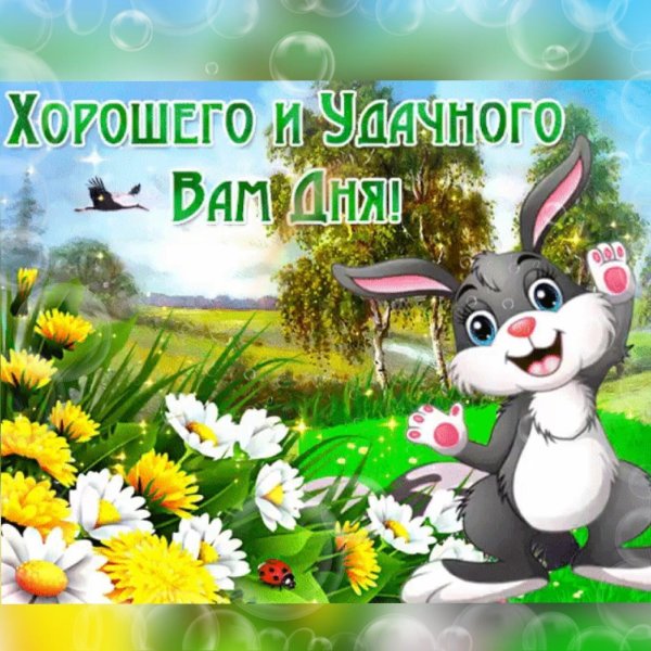 открытки хорошего дня новые