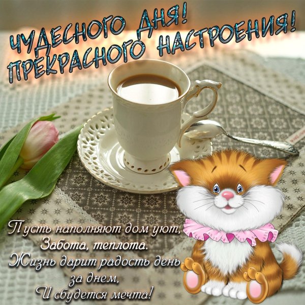 Удачного рабочего дня девушке с цветами