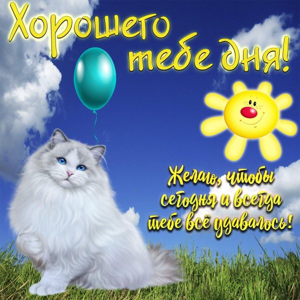 день хороший