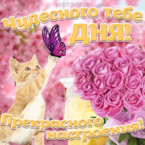 открытка хорошего настроения