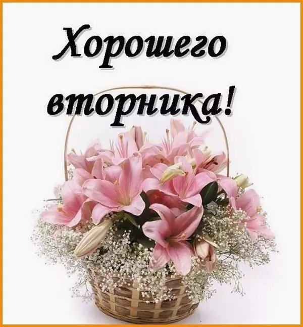 поздравление со вторником