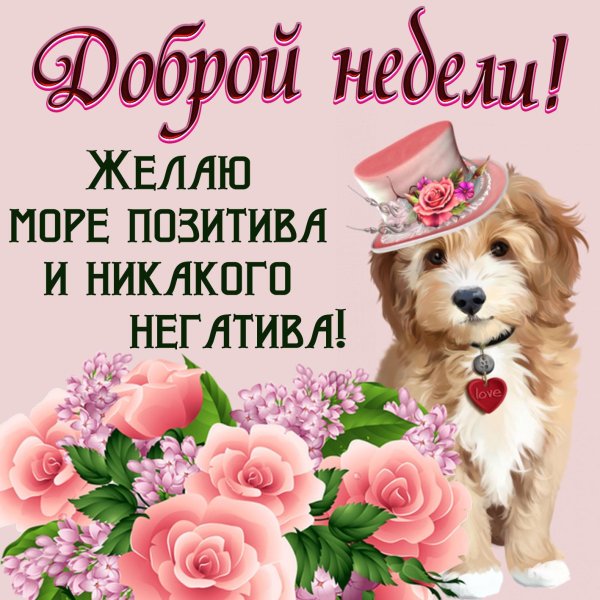 хорошей недели