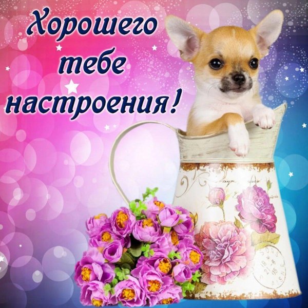 для хорошего настроения