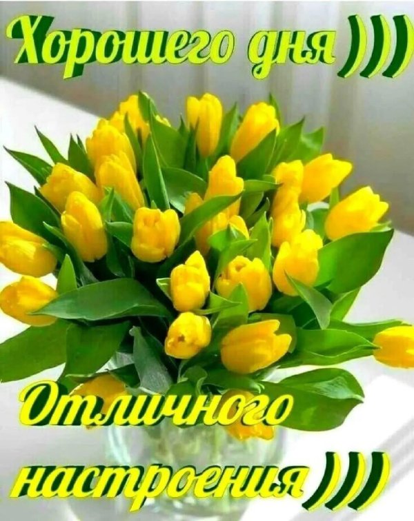 букет желтых тюльпанов